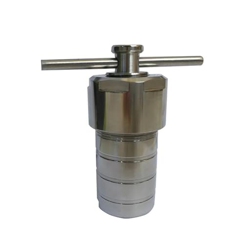 20 ml 25 ml PTFE-ausgekleideter Autoklavreaktor for die hydrothermale Synthese – 3 MPa Edelstahl-Druckbehälter for den Laborgebrauch(100mL) von RSRSR