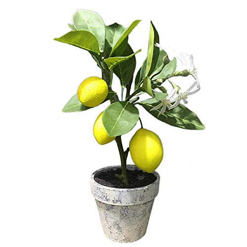 RSTYS Künstliche Bonsai-Zitrone, künstlicher Zitronen-Formschnitt, fast natürliches Zitronen-Ball-Arrangement, Mini-Topf-Zitronenbaum, für Zuhause, Küche, Büro, Tischdekoration und Zubehör von RSTYS