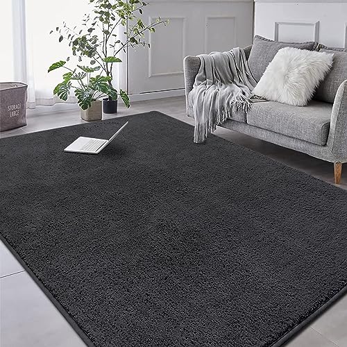 RTBQJ-AT Teppich 160x230 cm Microfiber Weicher Teppich Wohnzimmer, Rugs for Living Room Moderner Flauschiger Kurzflor Teppich Waschbar, Dunkelgrau Teppich von RTBQJ-AT