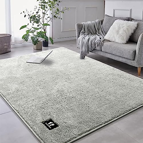 RTBQJ-AT Teppich Wohnzimmer 160x120cm Rugs for Living Room Moderner Flauschiger Kurzflor Waschbar, Weich Einfarbig Hellgrau Schlafzimmer von RTBQJ-AT