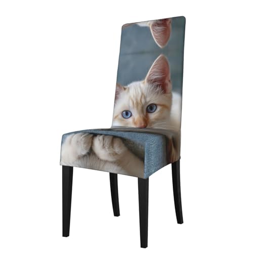 RTCVXZDSA Esszimmerstuhlschutz "Die Katze auf dem Sofa" – dehnbares Allover-Druck-Design, passend für die meisten armlosen Stühle (Höhe der Rückenlehne: 45,7–55,9 cm) von RTCVXZDSA