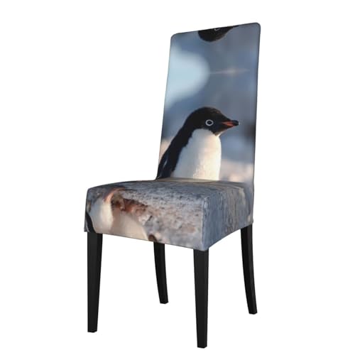 RTCVXZDSA Esszimmerstuhlschutz Pinguine auf dem Eis, dehnbares Allover-Druck-Design, passend für die meisten armlosen Stühle (Höhe der Rückenlehne: 45,7–55,9 cm) von RTCVXZDSA