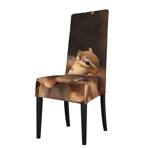 RTCVXZDSA Niedlicher Eichhörnchen-Esszimmerstuhl-Schutz, dehnbares Allover-Druck-Design, passend für die meisten armlosen Stühle (Rückenhöhe 45,7–55,9 cm) von RTCVXZDSA