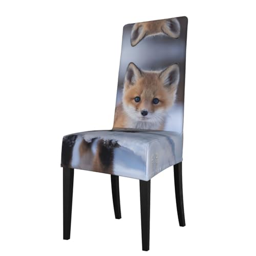 RTCVXZDSA Niedlicher Fuchs-Esszimmerstuhl-Schutz, dehnbares Allover-Druck-Design, passend für die meisten armlosen Stühle (Höhe der Rückenlehne: 45,7–55,9 cm) von RTCVXZDSA