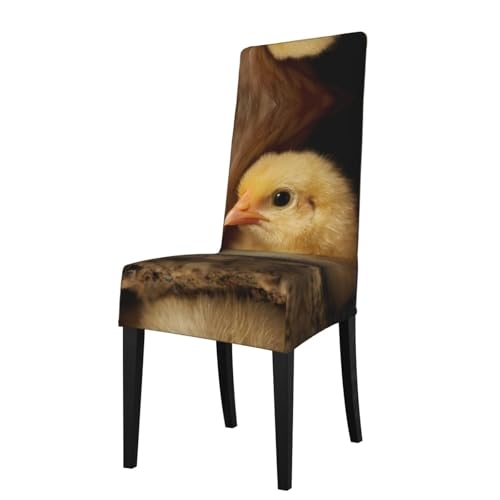 RTCVXZDSA Niedlicher Stuhlschutz für Henne – dehnbares Allover-Druck-Design, passend für die meisten armlosen Stühle (Höhe der Rückenlehne: 45,7–55,9 cm) von RTCVXZDSA