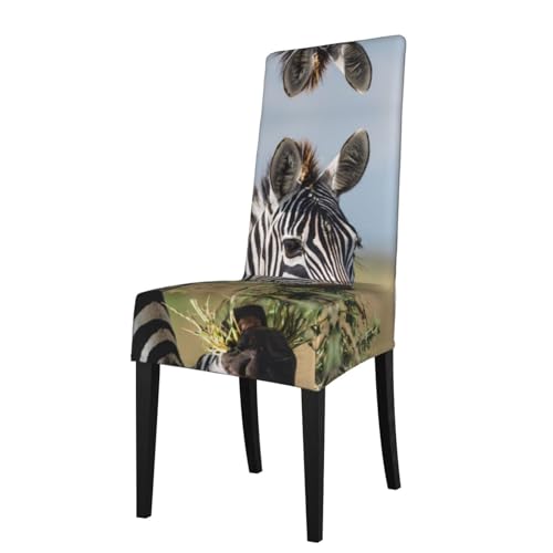 RTCVXZDSA Zebra-Esszimmerstuhlschutz, dehnbares Allover-Druck-Design, passend für die meisten armlosen Stühle (Höhe der Rückenlehne: 45,7–55,9 cm) von RTCVXZDSA