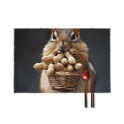Eichhörnchen Platzsets 6er Set Hitzebeständige Platzsets für Küche Esstisch Waschbar Leicht Zu Reinigen Tischmatten Langlebig Rutschfeste Essmatte für Party Outdoor Dekoration Eichhörnchen Platzsets 6er Set Hitzebeständige Platzsets für Küche Esstisch Waschbar Leicht Zu Reinigen Tischmatten Langlebig Rutschfeste Essmatte für Party Outdoor Dekoration von RTFGHJS
