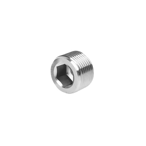 1PC BSPT/BSPP/NPT Außengewinde 304 Edelstahl Innensechskant Endkappe Innensechskant Stecker Öl Wasser Rohrverschraubung(NPT thread,1I2 inch) von RTKYYZ
