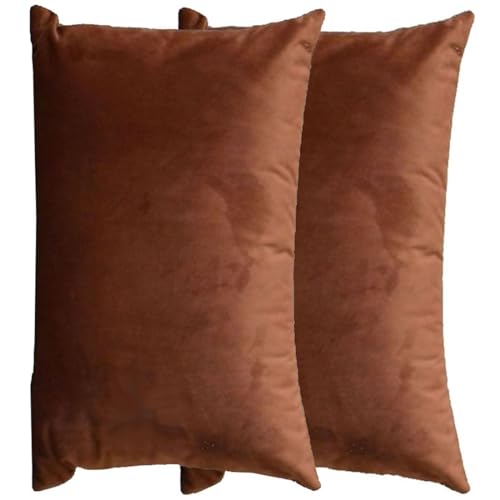 RTSFKFS Kissenbezug 60x80 Kissen 50x70 Bezug Couch Sofa Kissenbezüge Samt 40x60，2er Set Dekokissen Bezug Blau/Grün/Grau,Pillowcase Pillow Cases 40 x 70,Kissen Abdeckung(I,40x70 cm 2pcs) von RTSFKFS