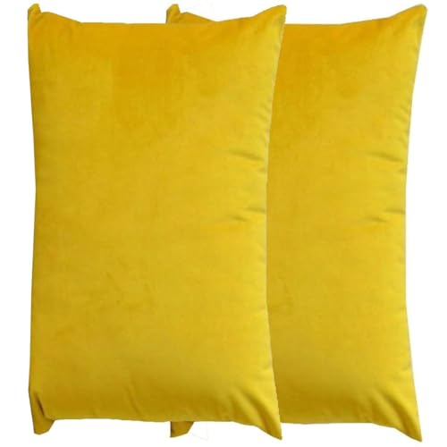 RTSFKFS Kissenbezug 60x80 Kissen 50x70 Bezug Couch Sofa Kissenbezüge Samt 40x60，2er Set Dekokissen Bezug Blau/Grün/Grau,Pillowcase Pillow Cases 40 x 70,Kissen Abdeckung(W,60x80 cm 2pcs) von RTSFKFS