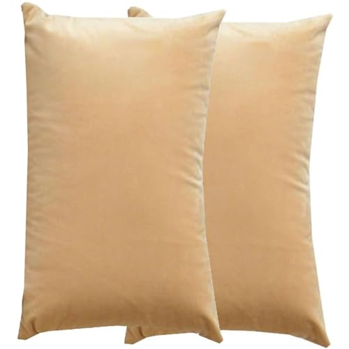 RTSFKFS Kissenbezug 60x80 Kissen 50x70 Bezug Couch Sofa Kissenbezüge Samt 40x60，2er Set Dekokissen Bezug Blau/Grün/Grau,Pillowcase Pillow Cases 40 x 70,Kissen Abdeckung(X,33x50cm 2pcs) von RTSFKFS