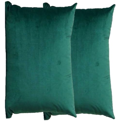 RTSFKFS Kissenbezug 60x80 Kissen 50x70 Bezug Couch Sofa Kissenbezüge Samt 40x60，2er Set Dekokissen Bezug Blau/Grün/Grau,Pillowcase Pillow Cases 40 x 70,Kissen Abdeckung(T,40x60 cm 2pcs) von RTSFKFS