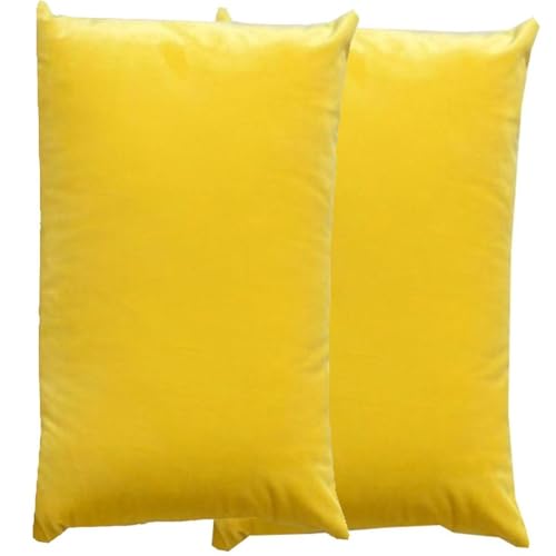 RTSFKFS Kissenbezug 60x80 Kissen 50x70 Bezug Couch Sofa Kissenbezüge Samt 40x60，2er Set Dekokissen Bezug Blau/Grün/Grau,Pillowcase Pillow Cases 40 x 70,Kissen Abdeckung(Y,60x80 cm 2pcs) von RTSFKFS