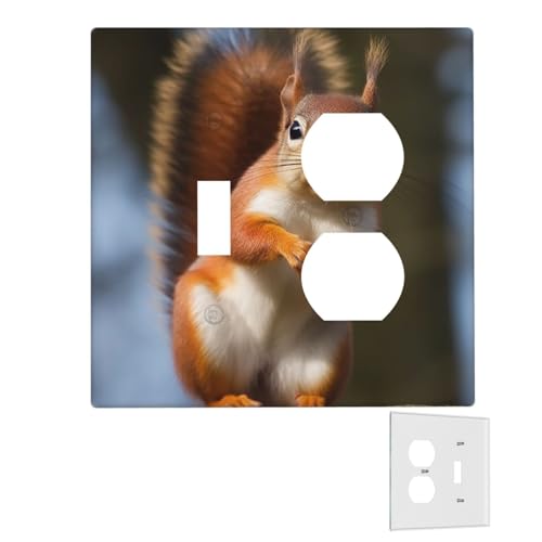Dekorator-Wandplatte, 2-Gang-Lichtschalter-Abdeckungen, Duplex-Steckdosenabdeckungen, Eichhörnchen, lustige Tier-Wandplatten für Steckdosen, Steckerabdeckung, Standardgröße, Doppel-Wippschalterplatten Dekorator-Wandplatte, 2-Gang-Lichtschalter-Abdeckungen, Duplex-Steckdosenabdeckungen, Eichhörnchen, lustige Tier-Wandplatten für Steckdosen, Steckerabdeckung, Standardgröße, Doppel-Wippschalterplatten von RTSTNMBD