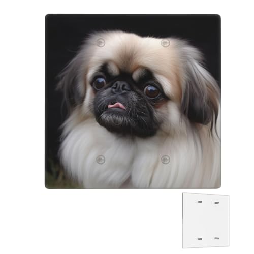 Dekorator-Wandplatte, 2-Gang-Lichtschalter-Abdeckungen, Duplex-Steckdosenabdeckungen, Pekinese-Hunde-Wandplatten für Steckdosen, Steckerabdeckung, Standardgröße, Doppel-Wippschalterplatten Dekorator-Wandplatte, 2-Gang-Lichtschalter-Abdeckungen, Duplex-Steckdosenabdeckungen, Pekinese-Hunde-Wandplatten für Steckdosen, Steckerabdeckung, Standardgröße, Doppel-Wippschalterplatten von RTSTNMBD