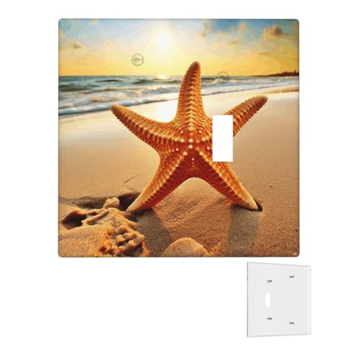 Dekorator-Wandplatte, 2-Gang-Lichtschalter-Abdeckungen, Duplex-Steckdosenabdeckungen, Seestern-Wandplatten für Steckdosen, Steckerabdeckung, mittlere Größe, Doppel-Wippschalterplatten von RTSTNMBD