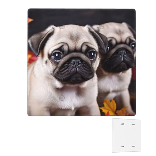 Dekorator-Wandplatte, 2-Gang-Lichtschalter-Abdeckungen, Duplex-Steckdosenabdeckungen, Welpen, Mops, Wandplatten für Steckdosen, Steckerabdeckung, mittlere Größe, Doppel-Wippschalterplatten von RTSTNMBD