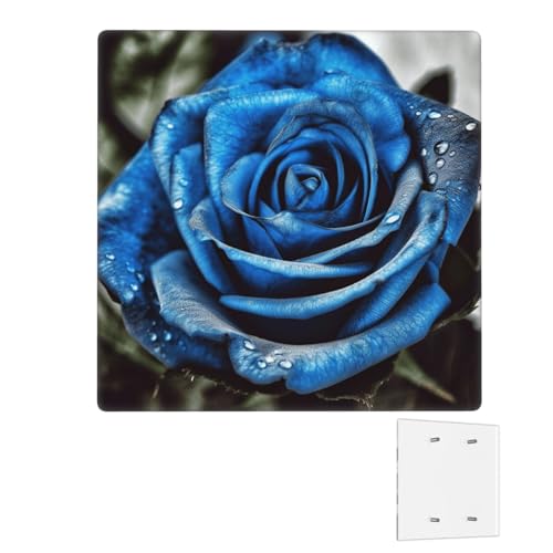 Dekorator-Wandplatte, 2-Gang-Lichtschalter-Abdeckungen, Duplex-Steckdosenabdeckungen, blaue Rose, Wandplatten für Steckdosen, Steckerabdeckung, Standardgröße, Doppel-Wippschalterplatten von RTSTNMBD