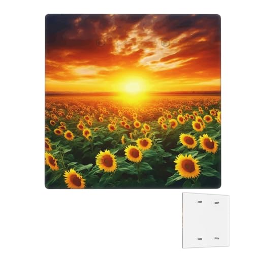 Dekorator-Wandplatte, 2-Gang-Lichtschalter-Abdeckungen, Duplex-Steckdosenabdeckungen, traumhafter Sonnenuntergang, Wandplatten für Steckdosen, Steckerabdeckung, Standardgröße von RTSTNMBD