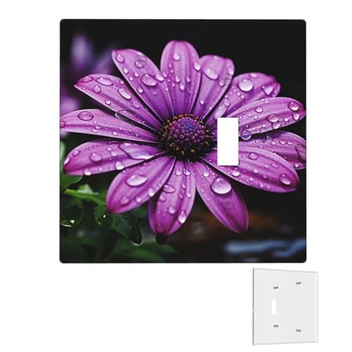 Dekorator-Wandplatte, 2-Gang-Lichtschalter-Abdeckungen, Duplex-Steckdosenabdeckungen, violette Gänseblümchen-Wandplatten für Steckdosen, Steckerabdeckung, mittlere Größe, Doppel-Wippschalterplatten Dekorator-Wandplatte, 2-Gang-Lichtschalter-Abdeckungen, Duplex-Steckdosenabdeckungen, violette Gänseblümchen-Wandplatten für Steckdosen, Steckerabdeckung, mittlere Größe, Doppel-Wippschalterplatten von RTSTNMBD