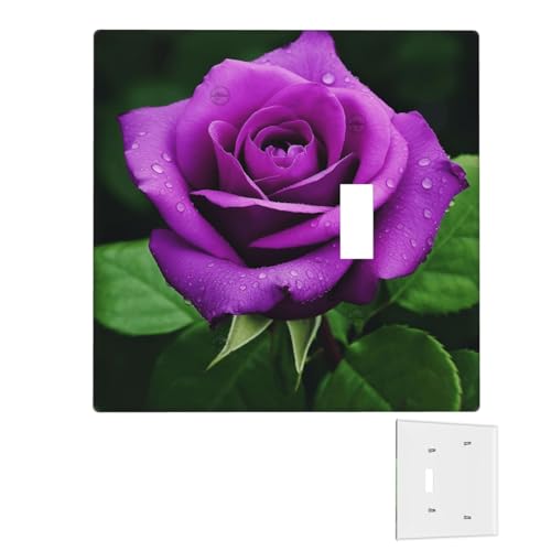 Dekorator-Wandplatte, 2-Gang-Lichtschalter-Abdeckungen, Duplex-Steckdosenabdeckungen, violette Rose, Blumen-Wandplatten für Steckdosen, Steckerabdeckung, mittlere Größe, Doppel-Wippschalterplatten von RTSTNMBD