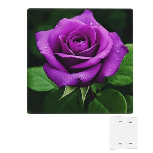 Dekorator-Wandplatte, 2-Gang-Lichtschalter-Abdeckungen, Duplex-Steckdosenabdeckungen, violette Rose, Blumen-Wandplatten für Steckdosen, Steckerabdeckung, mittlere Größe, Doppel-Wippschalterplatten von RTSTNMBD