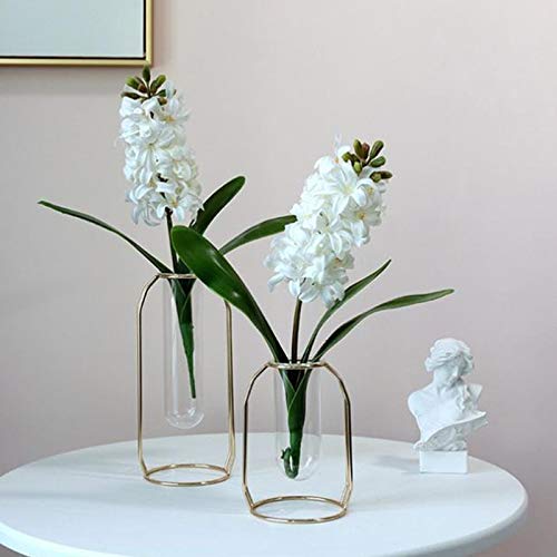 RTWAY Künstliche Hyazinthen-Blumen, 2 Stück künstliche Kunststoff-Hyazinthenstrauß, realistische Pflanzen für drinnen und draußen, Heimwerken, Zuhause, Garten, Korridor, Tischarrangements RTWAY Künstliche Hyazinthen-Blumen, 2 Stück künstliche Kunststoff-Hyazinthenstrauß, realistische Pflanzen für drinnen und draußen, Heimwerken, Zuhause, Garten, Korridor, Tischarrangements von RTWAY
