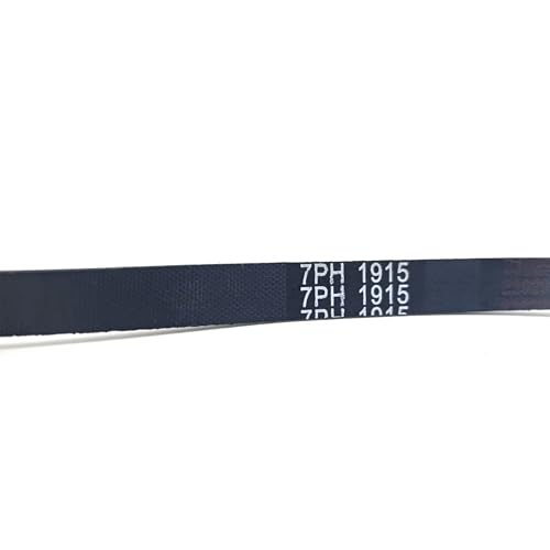 7PH 1915 Antriebsriemen for Wäschetrockner, kompatibel mit HOTPOINT 1915 H7 C00179066 (7PH1915-1pc) (7PH1915-1pc) von RTYHNCBG