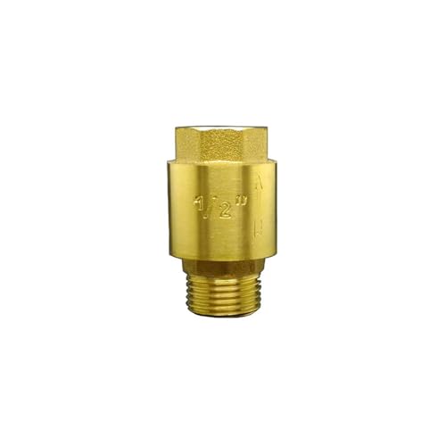 RUAJOGYNVM 3/4" BSP Male to Female Thread Brass Vertical Lift Spring Check Valve One Way Non-Return Valve for Water RUAJOGYNVM 3/4" BSP Male to Female Thread Brass Vertical Lift Spring Check Valve One Way Non-Return Valve for Water von RUAJOGYNVM