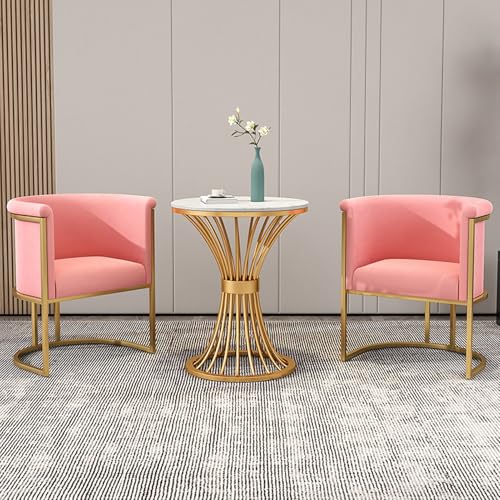 RUANLOV Empfangstischu und Stuhl-Kombination, Runder Esstisch mit 2 EsszimmerstüHle Essgrupp, Lounge, Wohnzimmer, Verhandlungstisch und Stuhl-Set, für Wohnzimmer KüChe BüRo (D) von RUANLOV