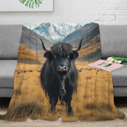 Highland Kuh Wohndecken 3D Druck Sofadecke Couchdecke Fleecedecke Kuscheldecke Bett Decken Flauschig Warm Tagesdecke Weichen Flauschig Für Mädchen Jungen 60x80inch(150x200cm) von RUASVENNS