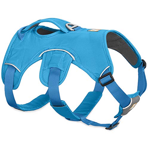 Ruffwear Mehrzweck-Hundegeschirr, Raues Gelände, Arbeitshunde, Miniatur Hunderassen, Größenverstellbar, Größe: XXS, Blau, Web Master Geschirr… von RUFFWEAR