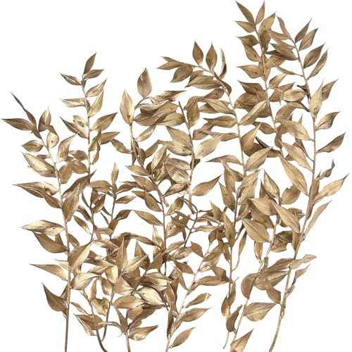 Dried Flowers, Dried Ruscus, Dry Dried Flowers Crafts for DIY Arts Resin Scrapbooking Jewelry Making Floral Decorations Cupcake Decorating (Gold) von RUGBOL