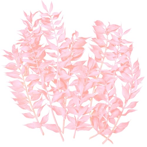 Dried Flowers, Dried Ruscus, Dry Dried Flowers Crafts for DIY Arts Resin Scrapbooking Jewelry Making Floral Decorations Cupcake Decorating (Pink) von RUGBOL