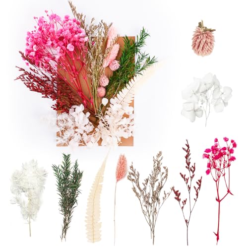 Getrocknete Blumen, gepresste Blumen, Trockenblumen, Basteln für DIY-Kunst, Kunstharz, Scrapbooking, Schmuckherstellung, Blumendekorationen (Rosa und Cyan) von RUGBOL