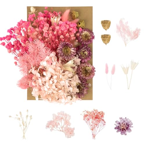 Trockenblumen, gepresste Blumen, Trockenblumen, Trockenblumen, Basteln für DIY-Kunst, Kunstharz, Scrapbooking, Schmuckherstellung, Blumendekorationen (weiß) von RUGBOL