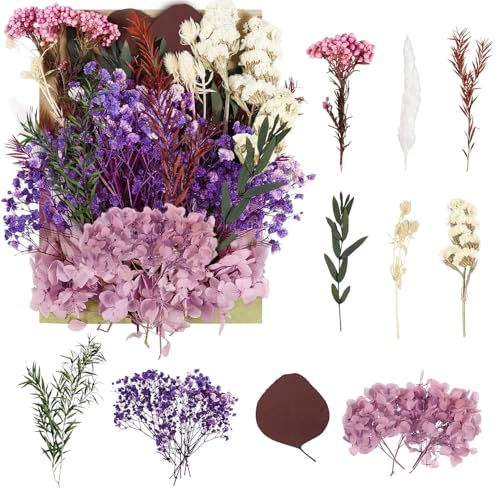 Getrocknete Blumen, gepresste Blumen, Trockenblumen, Trockenblumen, Basteln für DIY-Kunst, Kunstharz, Scrapbooking, Schmuckherstellung, Blumendekorationen (lila) von RUGBOL