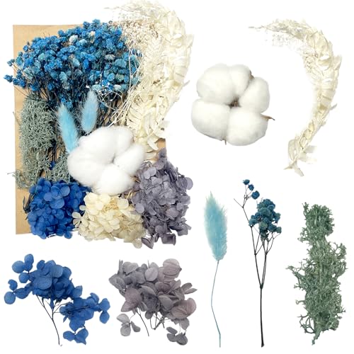 Getrocknete Blumen, gepresste Blumen, Trockenblumen, getrocknete Blumen, Basteln für Heimwerker, Kunstharz, Scrapbooking, Schmuckherstellung, Blumendekorationen(Blau) von RUGBOL
