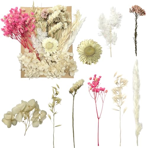 Getrocknete Blumen, gepresste Blumen, Trockenblumen, getrocknete Blumen, Basteln für Heimwerker, Kunstharz, Scrapbooking, Schmuckherstellung, Blumendekorationen(Rosa und Weiß) von RUGBOL
