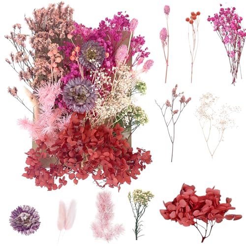 Getrocknete Blumen, gepresste Blumen, Trockenblumen, getrocknete Blumen, Kunsthandwerk für Heimwerker, Kunstharz, Scrapbooking, Schmuckherstellung, Blumendekorationen (Rot + Lila) von RUGBOL