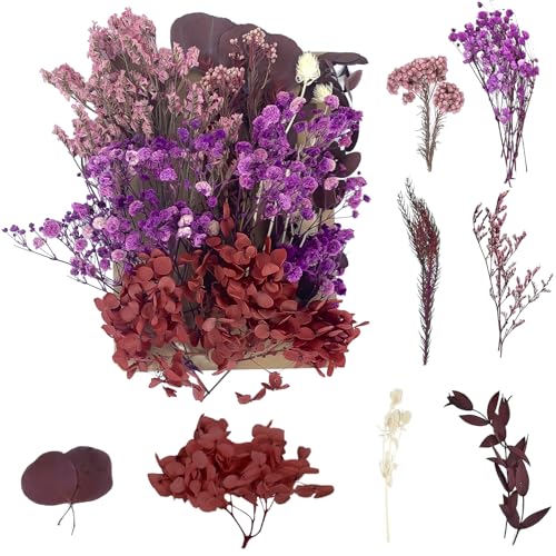 Getrocknete Blumen, gepresste Blumen, Trockenblumen, getrocknete Blumen, Kunsthandwerk für Heimwerker, Kunstharz, Scrapbooking, Schmuckherstellung, Blumendekorationen (Rot + Rosa) von RUGBOL