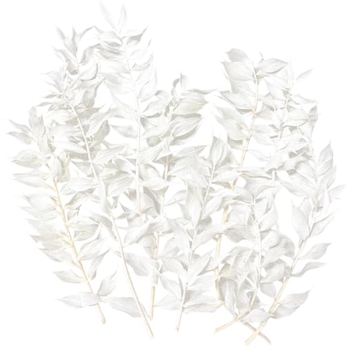 Trockenblumen, getrockneter Mäusedorn, getrocknete Blumen, Basteln für DIY-Kunst, Kunstharz, Scrapbooking, Schmuckherstellung, Blumendekorationen, Cupcake-Dekoration (Weiß) von RUGBOL