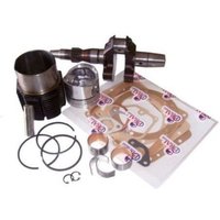 Motorüberholungskit DIESEL RUGGERINI RF120 Welle-Zylinder-Kolben-Dichtungen Motorüberholungskit DIESEL RUGGERINI RF120 Welle-Zylinder-Kolben-Dichtungen von RUGGERINI