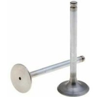 Satz Einlassventile RUGGERINI RD220 RD240 RD270 RD278 Motor 960.57 Satz Einlassventile RUGGERINI RD220 RD240 RD270 RD278 Motor 960.57 von RUGGERINI