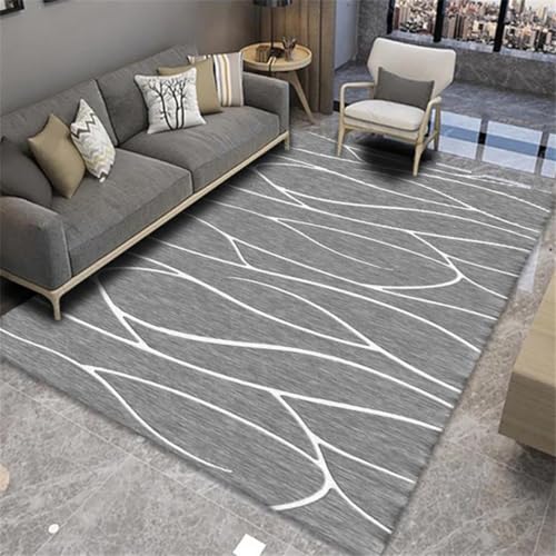 RUGMRZ Kuschel Teppich Groß 80X160Cm Möbelgleiter 23 Grau Einfaches Wohnzimmer Schlafzimmer Zu Hause Voll Möbliert Geometrisch Maschinenwaschbar Rutschstopp Rutschfester von RUGMRZ
