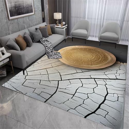 RUGMRZ Teppich Billig 300X400Cm Jugendzimmer Jungen 11 Grau Wohnzimmer Couch Mädchen Licht Luxus Sofa Schlafzimmer Abstrakt Waschbar von RUGMRZ