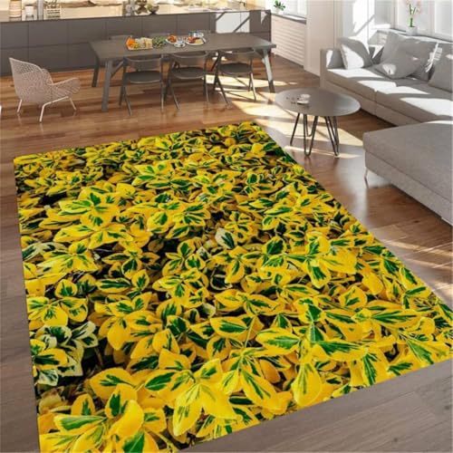 RUGMRZ Teppiche Für Balkon Waschbare Teppich Moderner Stil Lounge Ecke 60X120CM von RUGMRZ