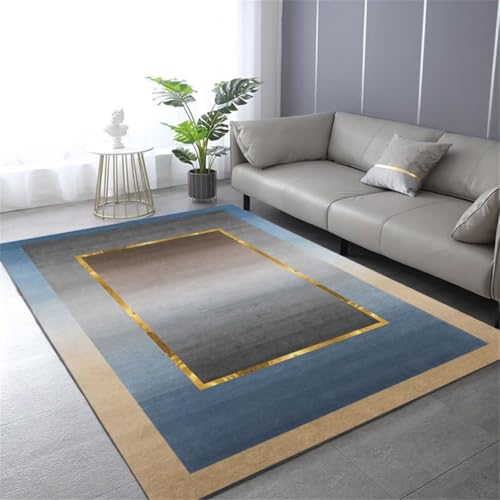 RUGMRZ Weicher TeppichWaschbarer Teppich Girls Rugs 120x160CM klein Wohnzimmer BlauGrauer moderner minimalistischer Teppich. outdoorteppich von RUGMRZ