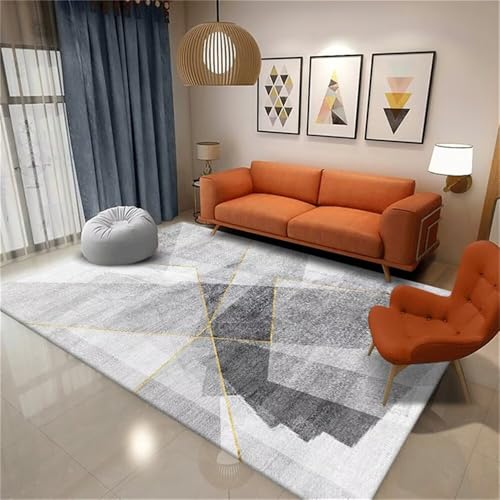 RUGMRZ Wohnzimmerteppich Kinderteppiche Graues geometrisches Design dauerhaft waschbar Teppich Katze Tische Wohnzimmer 60X90CM von RUGMRZ