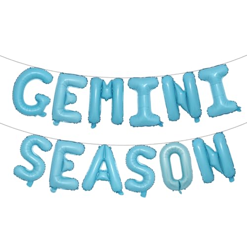 Zwillingssaison-Banner, Happy Birthday Zwillings-Wimpelkette, 12 Sternzeichen, Thema, Geburtstagsparty, Dekoration, Zubehör, mehrfarbig (Zwillings-Saison, Hellblau) von RUIANSI